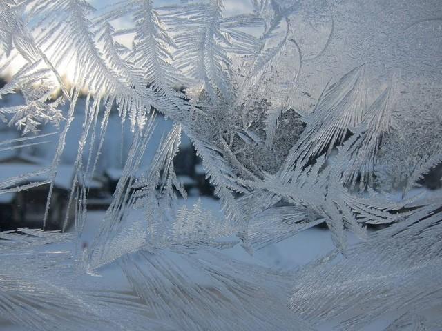 12月22-12月31日，一段摩羯座，最孤独，也是最忠诚，可靠的朋友