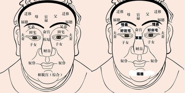 面部风水，面部风水十二宫图片