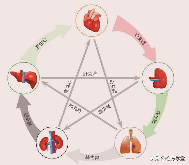 中医面诊之基础知识，五色-五味-五脏-五行