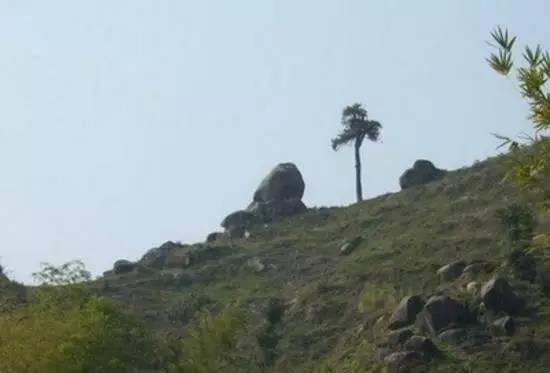 龟形山风水，龟形风水宝地出什么人