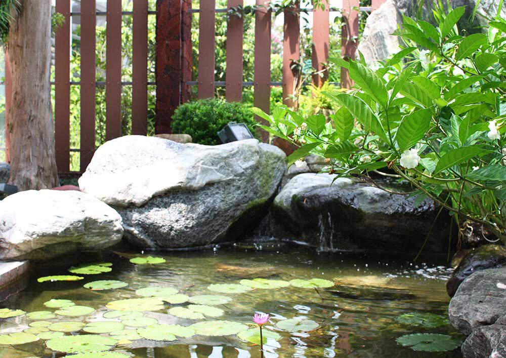 金鱼池的风水，风水学