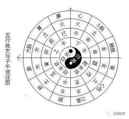 五脏对应的五行，每日五行对照表