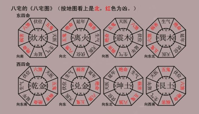 81年属鸡到底是金命还是木命，1981年木命是什么意思