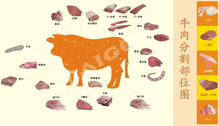 牛肉饭店名字取名大全集，牛肉饭起名字