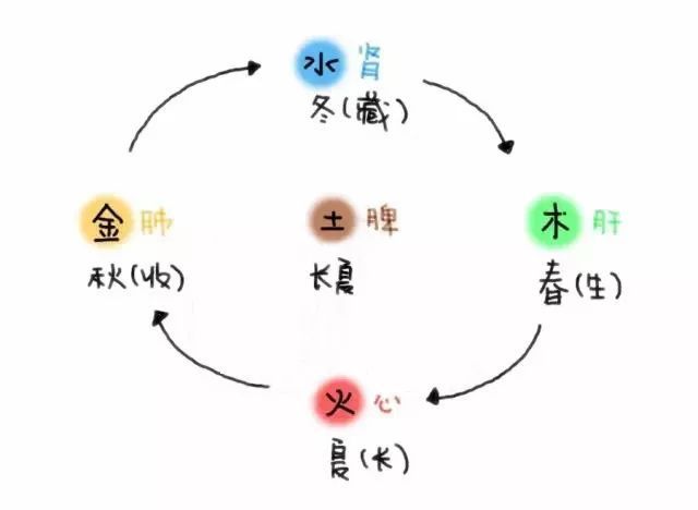 阳在五行中属性，五行阴阳传