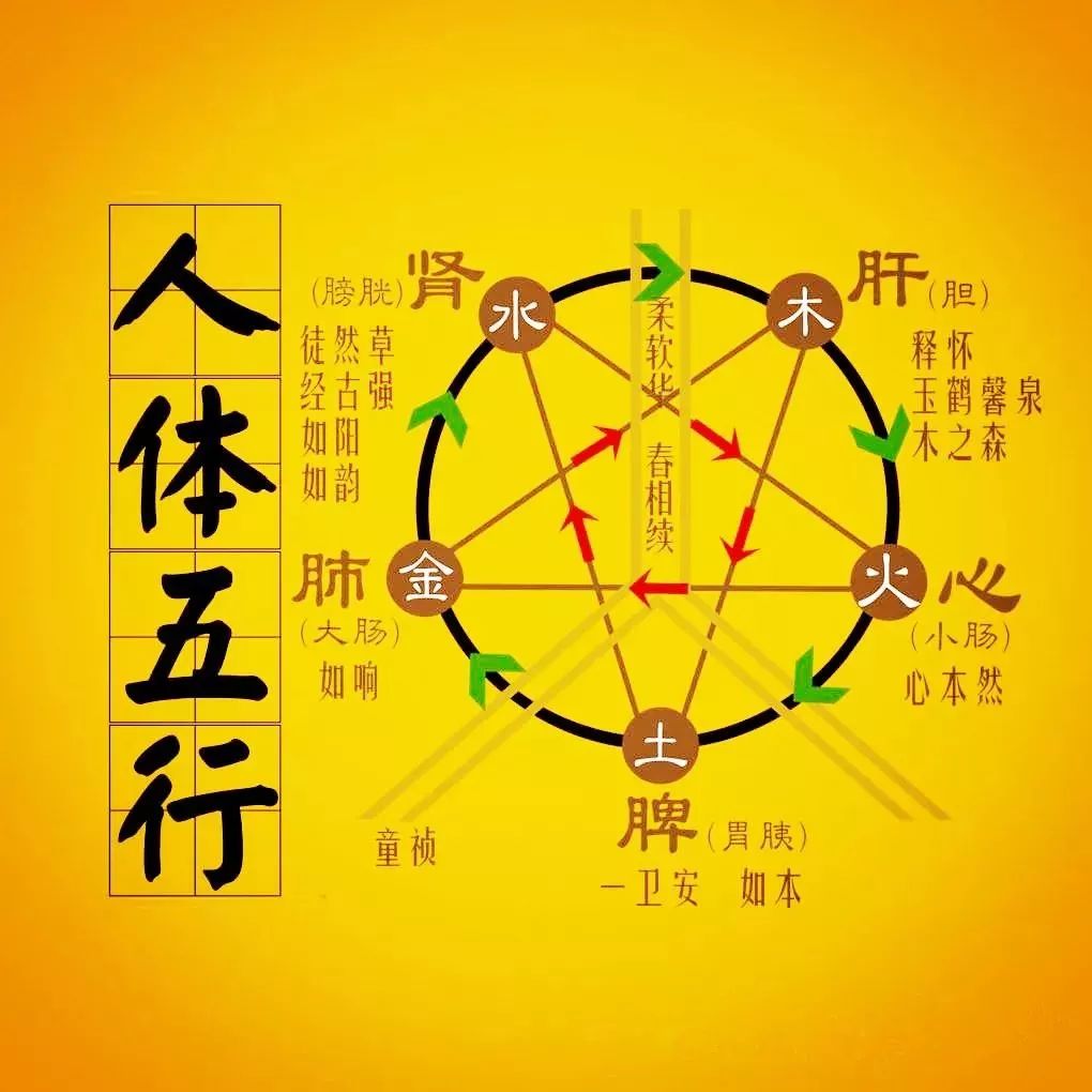 白色五行，五行金为什么是白色