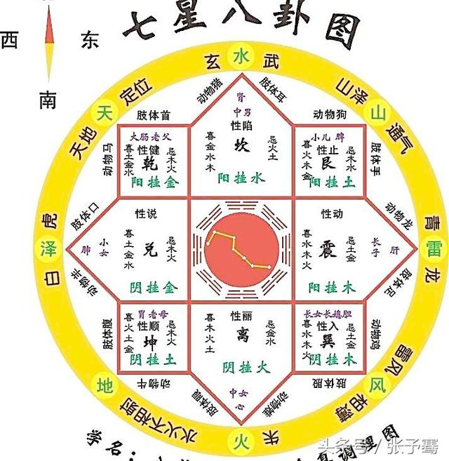 东南五行属什么，为什么医生五行属水