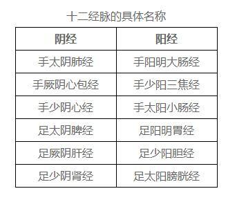 从经络角度探析“阴阳与五行”的爱恨纠葛