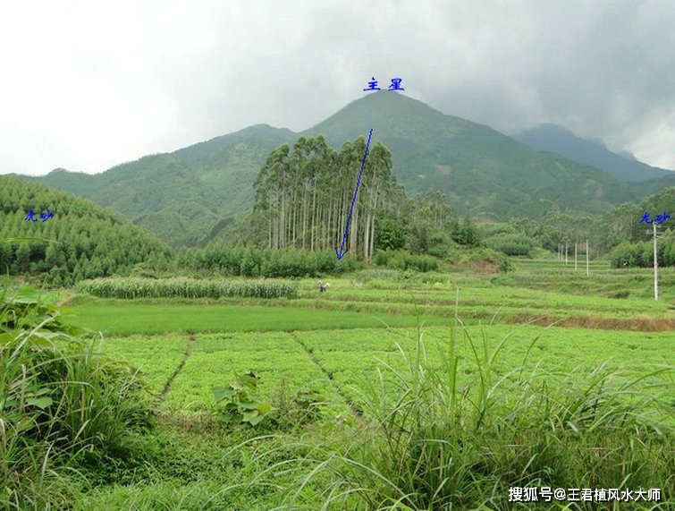 风水天师，风水师txt全集下载