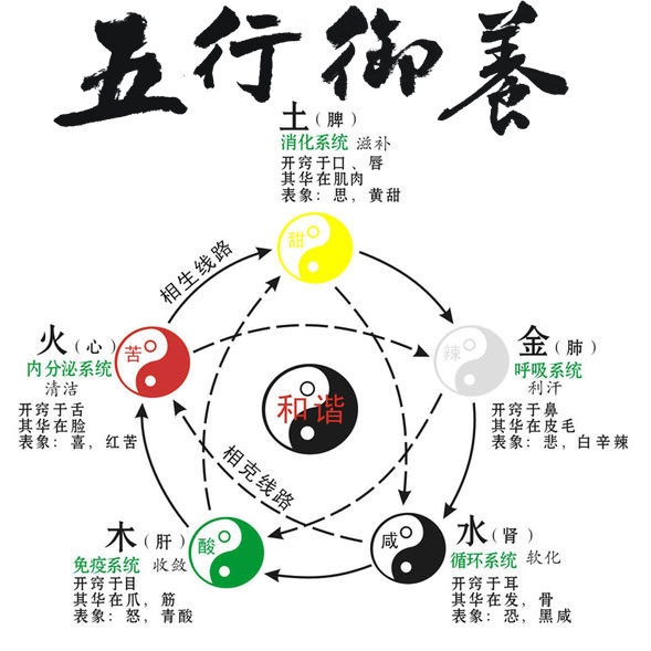 中的五行，君字五行属什么