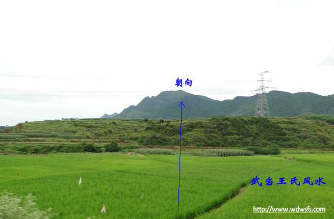 状元风水，状元家山风水