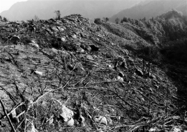 元宝山风水，房子五色土风水的说法