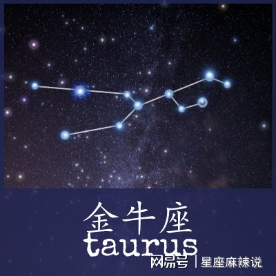 双子座桃花，双子座女搭配什么星座最适合