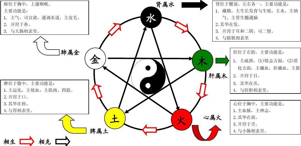 五行土，五行土多的女人