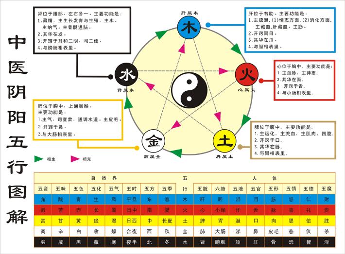 五脏五行，五脏表里对应表