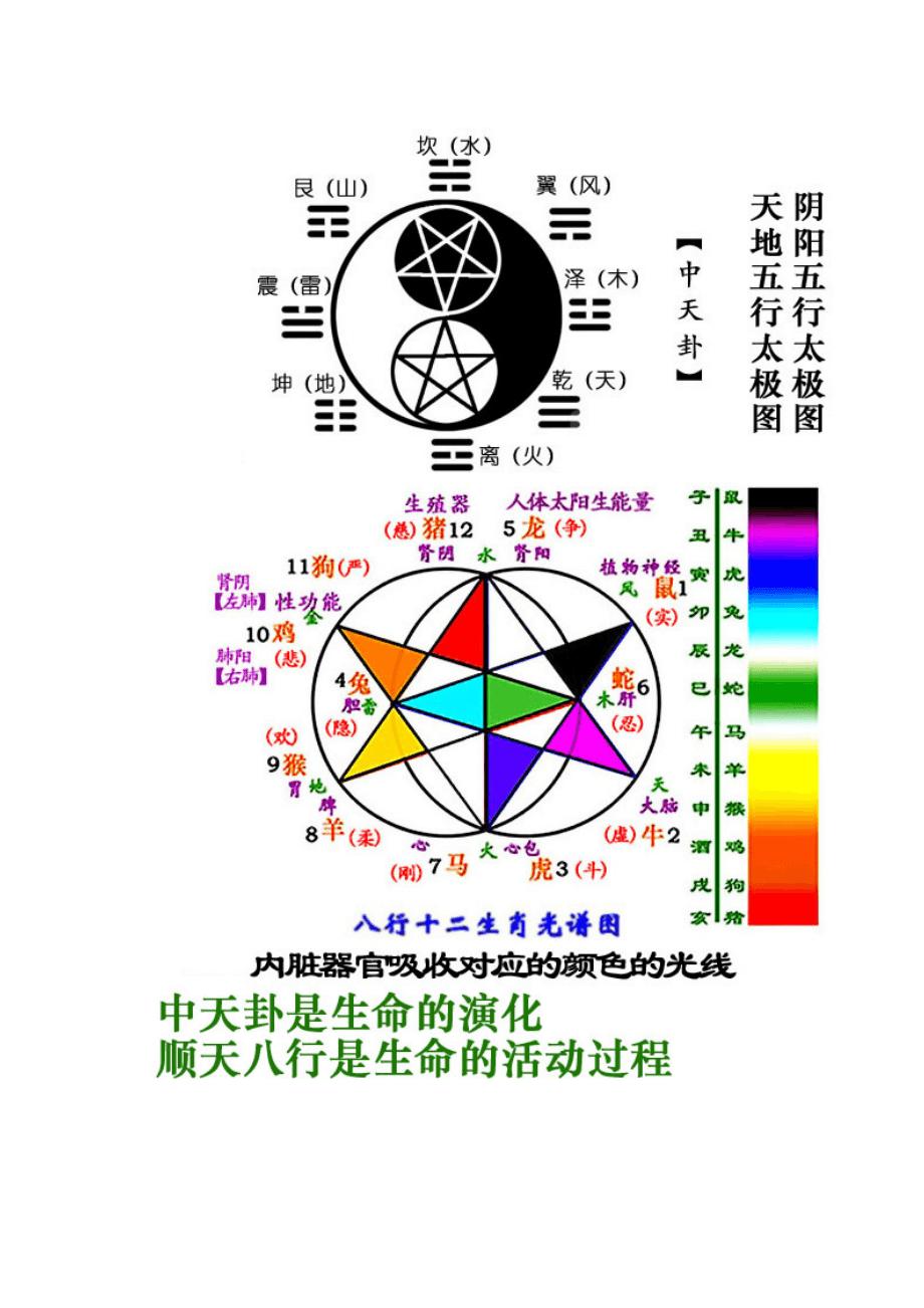 人体五行养生图，五行图