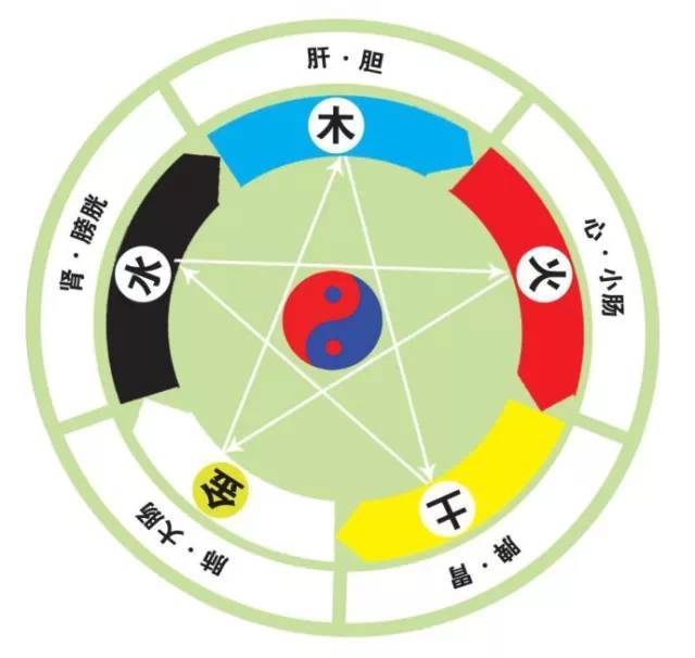 多的五行，东五行属什么