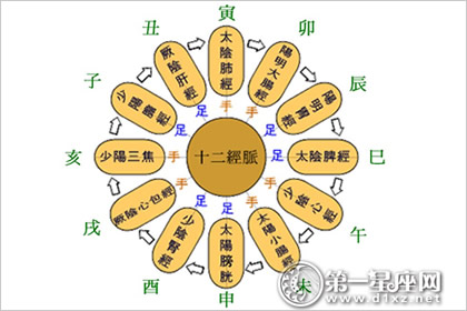 奇字五行，奇的含义和五行属什么