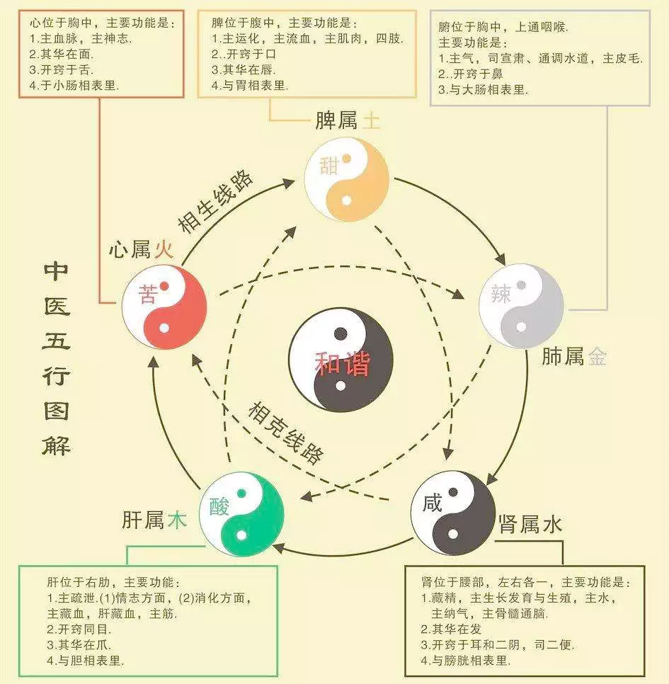 意五行，意字代表哪个生肖