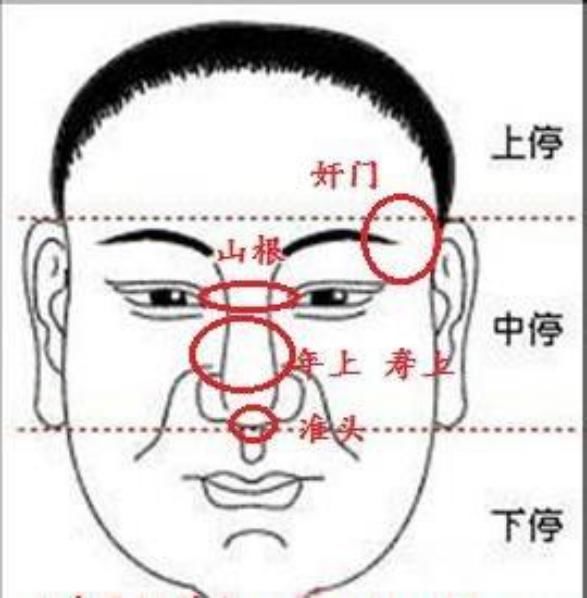 下巴风水，最有福气的下巴图片