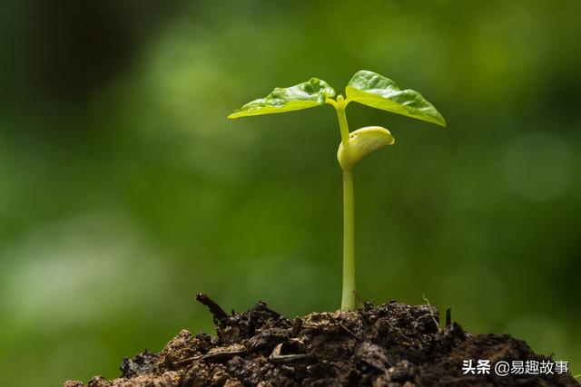 五行的“金、木、水、火、土”都是什么？其实我们都理解错了