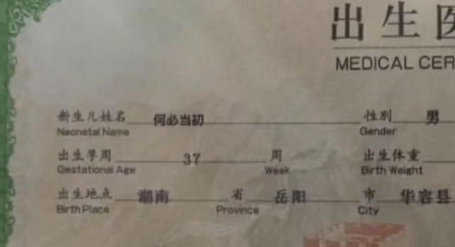 90后家长太皮了，给孩子取名个个“与众不同”，老师点名心好累