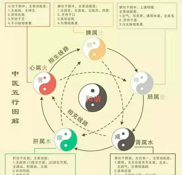 五行七画，属木七画的字