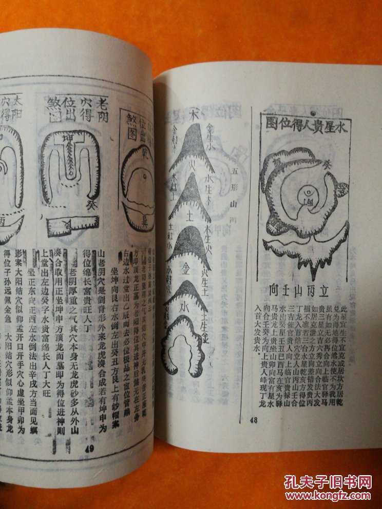 1980年出生的是什么命，一九八o年属猴是什么命