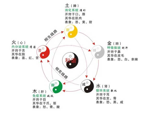 五行对应五脏，五行五脏六腑相表关系