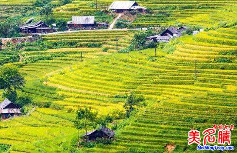 家庭农场取名大全集，生态农业有限公司取名