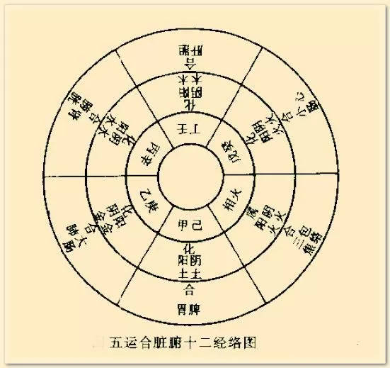 五脏六腑对应的五行，五脏开窍口诀