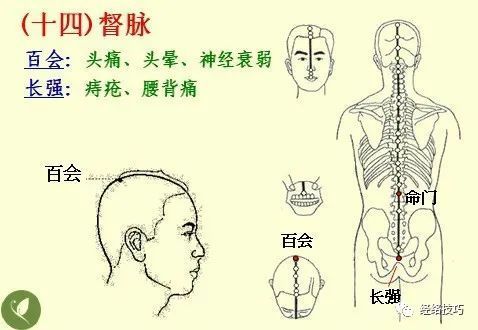 五行经络操，八段锦完整教学视频