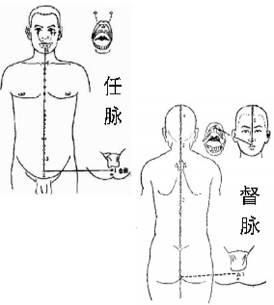 五行经络操，八段锦完整教学视频