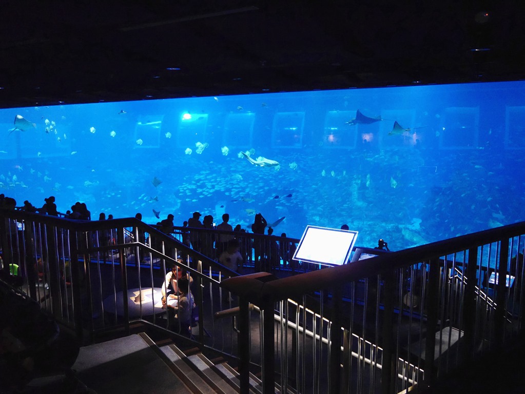 水族馆起名，水族店名字