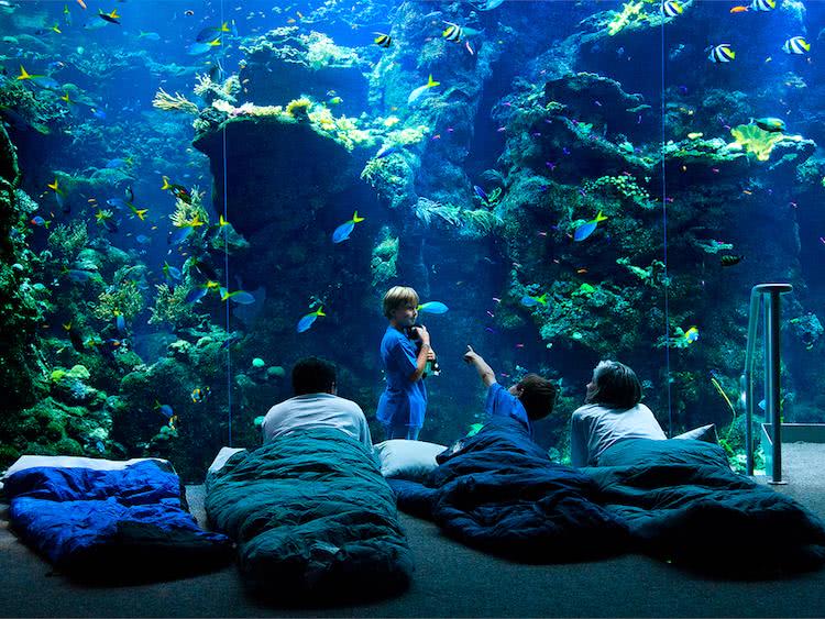 水族馆起名，水族店名字