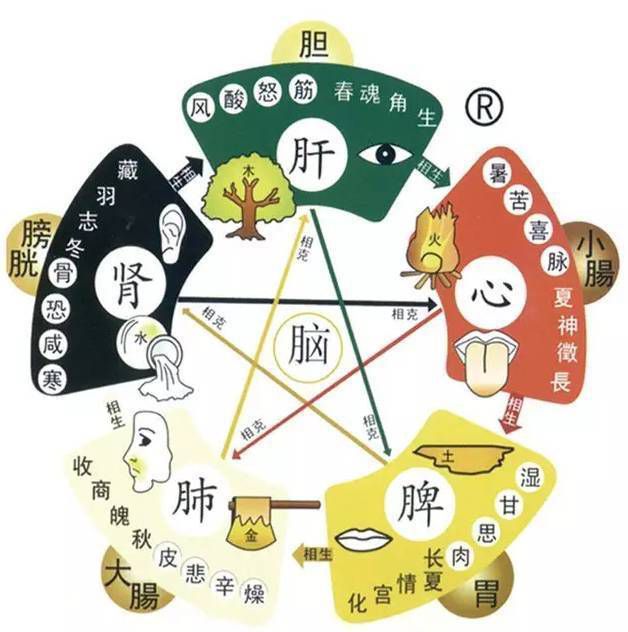 可的五行，女孩缺水取名大全文雅