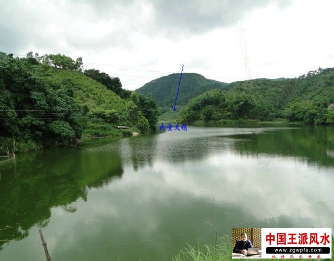 广西好风水，进门摆什么绿植风水好