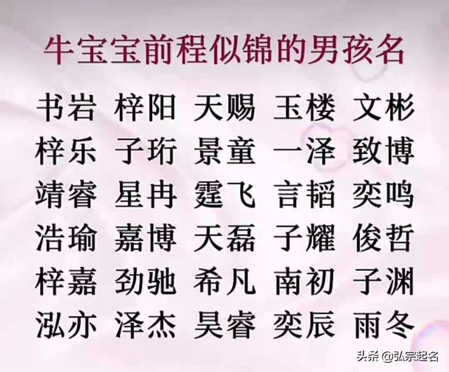 瀹濆疂璧峰悕锛氬墠绋嬩技閿︾殑鐗涘疂瀹濈敺瀛╁悕锛屽皢鏉ヤ簨涓氭湁鎴愶紝鏄埗姣嶇殑鏈熸湜