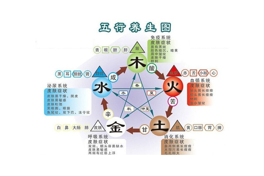 2的五行属性，1到9数字代表五行