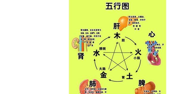 阴阳五行学说的解析