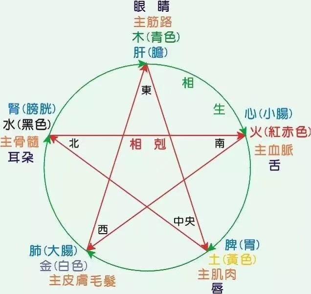 什么是“五行”，你了解五行是什么吗？对人体有哪些作用？