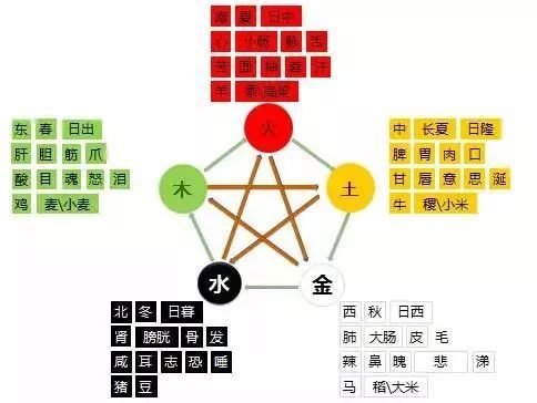 知的五行，在线生辰八字免费取名