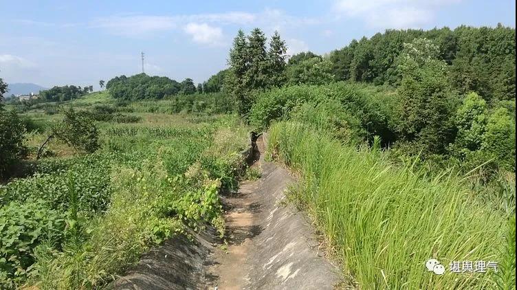 生基风水知识，怎样种风水生基图解