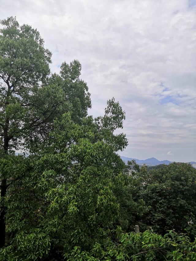 不同于普通仿古塔，布衣塔是一座别致的风水塔