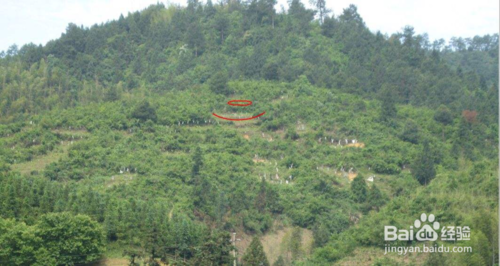 周易风水坟地，墓地风水口诀100条