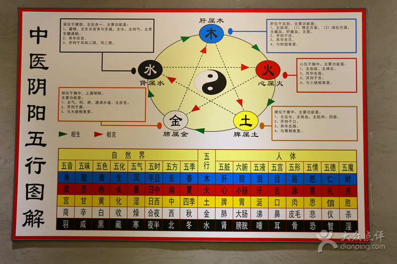 五行通络，初学者经络入门