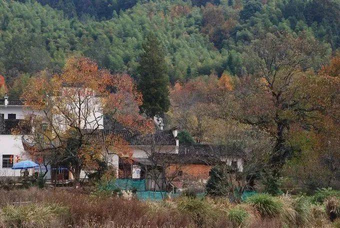 房前屋后的风水，农村住宅风水100条禁忌