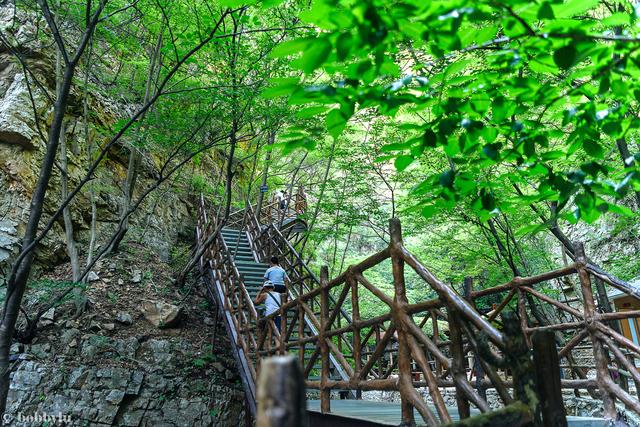 “山为祖、河为宗”，清东陵风水龙脉之所在，追根溯源天子山