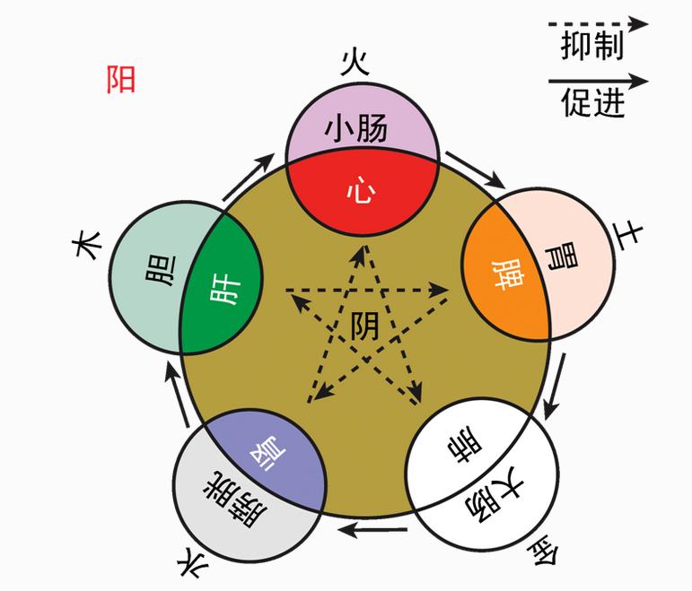 如五行，如字取名五行寓意