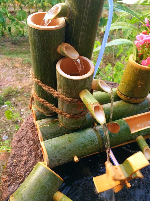 竹子 风水，种竹子有什么风水讲究吗